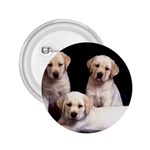 Labrador-Puppy 3 2.25  Button