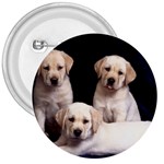 Labrador-Puppy 3 3  Button