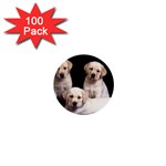 Labrador-Puppy 3 1  Mini Button (100 pack) 
