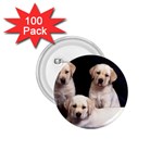 Labrador-Puppy 3 1.75  Button (100 pack) 