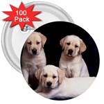 Labrador-Puppy 3 3  Button (100 pack)