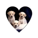 Labrador-Puppy 3 Magnet (Heart)