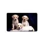 Labrador-Puppy 3 Magnet (Name Card)
