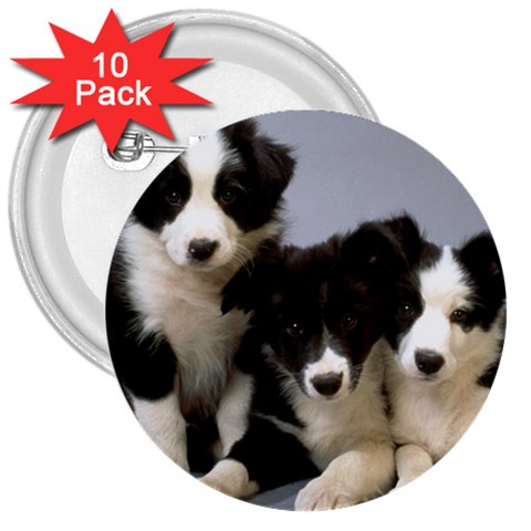 Border Collie Puppies 3  Button (10 pack) from UrbanLoad.com Front