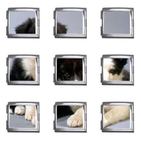 Border Collie Puppies Mega Link Italian Charm (9 pack) from UrbanLoad.com Front