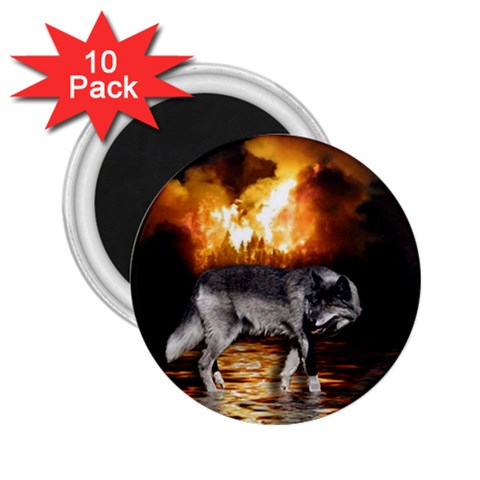  Survivor  Grey Wolf  2.25  Magnet (10 pack) from UrbanLoad.com Front
