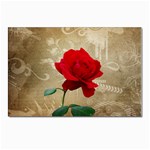 Red Rose Art Postcards 5  x 7  (Pkg of 10)