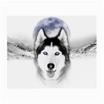 Wolf Moon Mountains Small Glasses Cloth