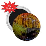 Stone Country Bridge 2.25  Magnet (10 pack)