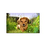 Puppy In Grass Sticker (Rectangular)
