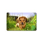 Puppy In Grass Magnet (Name Card)