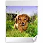 Puppy In Grass Canvas 36  x 48 