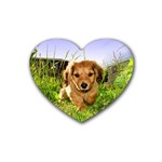 Puppy In Grass Rubber Coaster (Heart)