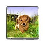 Puppy In Grass Memory Card Reader (Square 5 Slot)