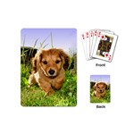 Puppy In Grass Playing Cards (Mini)