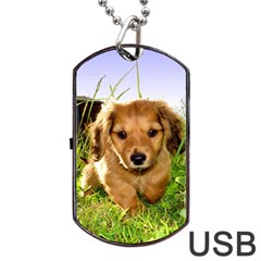 Puppy In Grass Dog Tag USB Flash (Two Sides) from UrbanLoad.com Front