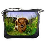 Puppy In Grass Messenger Bag