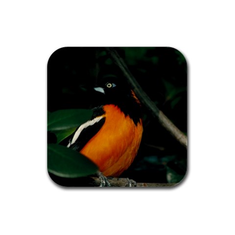 Oriole Bird D2 Rubber Square Coaster (4 pack) from UrbanLoad.com Front