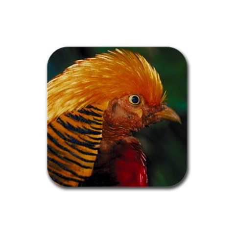 Golden Pheasant Bird Rubber Square Coaster (4 pack) from UrbanLoad.com Front
