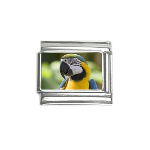 Parrot Italian Charm (9mm) from UrbanLoad.com Front