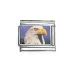 Bald Eagle Italian Charm (9mm)