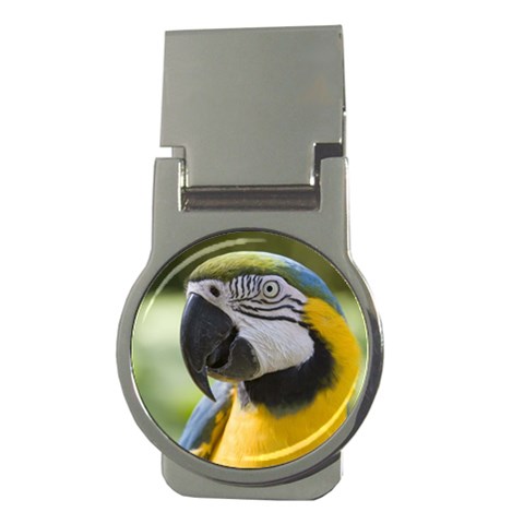 Parrot Money Clip (Round) from UrbanLoad.com Front
