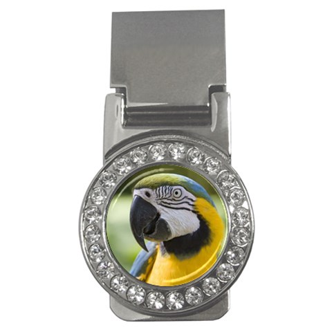 Parrot Money Clip (CZ) from UrbanLoad.com Front