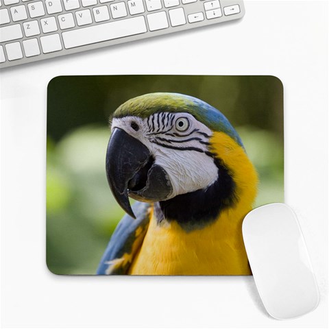 Handsome Parrot Large Mousepad from UrbanLoad.com Front