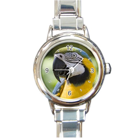Parrot Round Italian Charm Watch from UrbanLoad.com Front