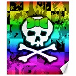 Rainbow Skull Canvas 20  x 24 