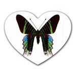 Butterfly M6 Mousepad (Heart)
