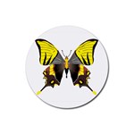 Butterfly M2 Rubber Round Coaster (4 pack)