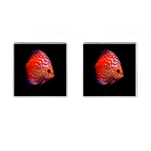 Tropical Discus Fish Cufflinks (Square) from UrbanLoad.com Front(Pair)