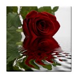 Red Rose Reflections Flower Tile Coaster