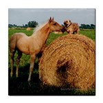 Horse and Dog Meet & Greet Tile Coaster