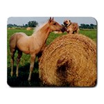 Horse and Dog Meet & Greet Small Mousepad
