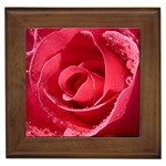 Glorious Pink Rose Flower Framed Tile