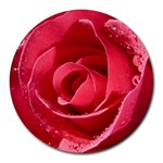 Glorious Pink Rose Flower Round Mousepad