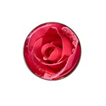 Glorious Pink Rose Flower Hat Clip Ball Marker (10 pack)