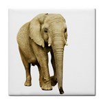 Elephant Animal M9 Tile Coaster