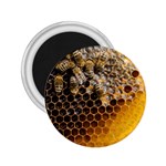 Honeycomb With Bees 2.25  Magnets