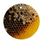 Honeycomb With Bees Ornament (Round)