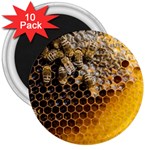 Honeycomb With Bees 3  Magnets (10 pack) 