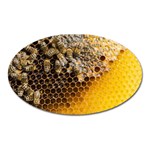 Honeycomb With Bees Oval Magnet