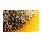 Honeycomb With Bees Magnet (Rectangular)