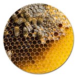 Honeycomb With Bees Magnet 5  (Round)