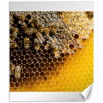 Honeycomb With Bees Canvas 8  x 10 