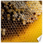 Honeycomb With Bees Canvas 20  x 20 