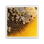 Honeycomb With Bees Memory Card Reader (Square)