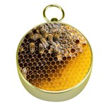 Honeycomb With Bees Gold Compasses
